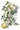 Clementine IOD Transfer 8X12 Pad Iron Orchid Designs, LLC.