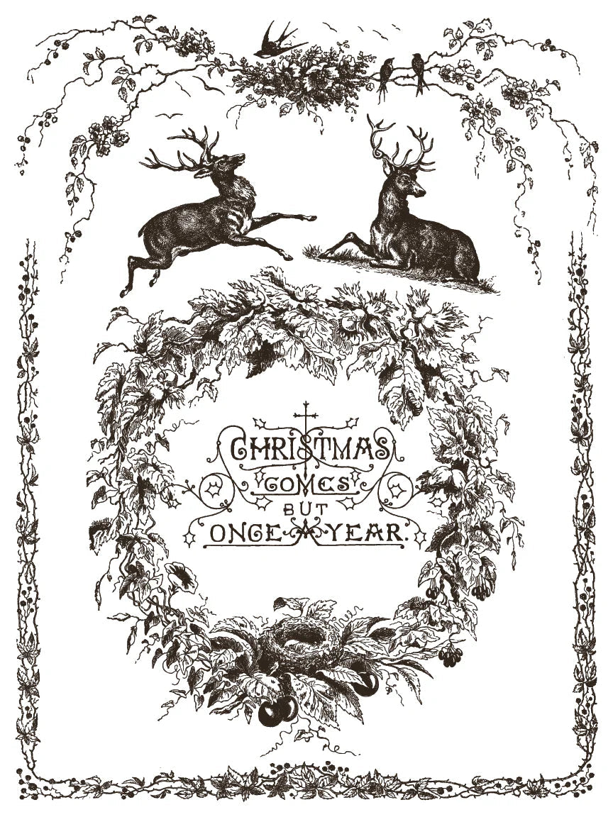 Twelfth Night IOD Paint Inlay 12x16 Pad