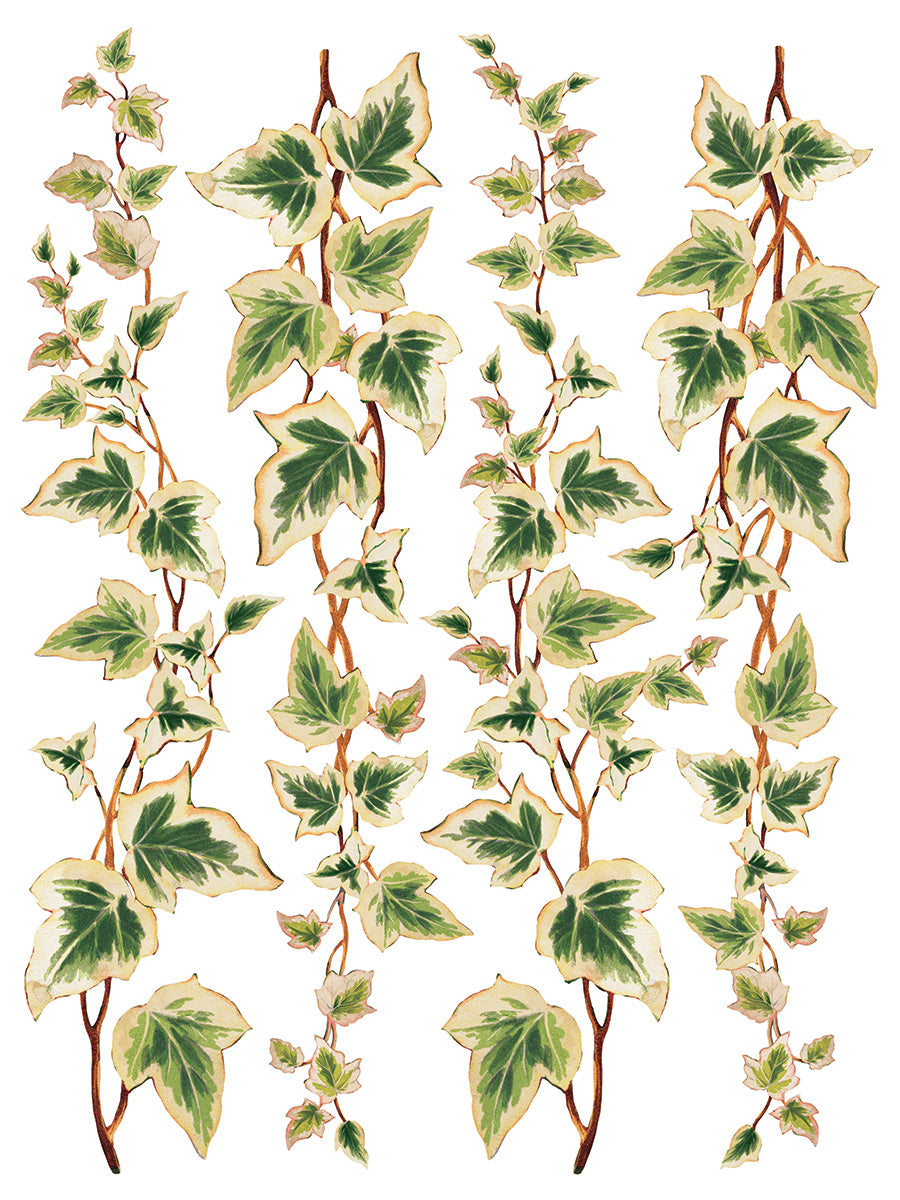 Joie des Roses IOD Transfer 12x16 Pad