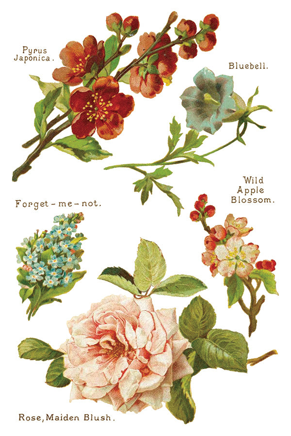 Lover of Flowers IOD Transfer 8x12 Pad