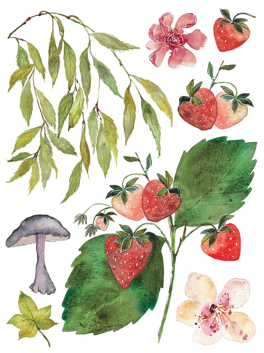 Whispering Willow IOD Transfer 12x16 PadЄ