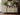 Petite Fleur Pink IOD Paint Inlay 12x16 Pad Iron Orchid Designs, LLC.
