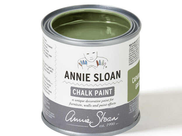 Chalk Paint 120ml Capability Green