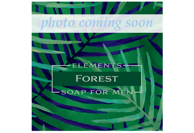 Elements Soap for Men Forest