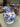 Chinese Blue and White Ceramic Pitcher The Mustard Seed Collection, The Seed