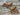 Vintage Gold & Pink Birds The Mustard Seed Collection, The Seed