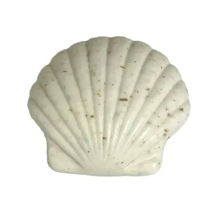 Sculpted Soaps 4.3 oz Sea Shell - Island Blossom