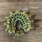 Jeweled Turkey Brooch