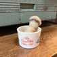 Vintage Old Spice Shaving Mug with Shaving Brush