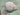 Concrete Snail Auctions by Adkins