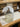 2 Quart Perfect Mason Ball Jar - Clear The Mustard Seed Collection, The Seed