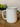 7" Arabia Finland White Pitcher The Mustard Seed Collection, The Seed