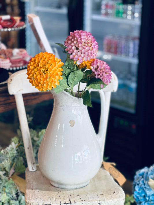 20" Celebrity Dahlia Stem