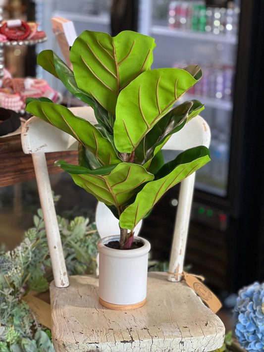 Artificial Fiddle Leaf Fig Plant 21"