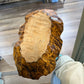 Vintage Hand Carved Burl Wood Basket