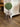 Three-Tiered Wire Basket Stand The Mustard Seed Collection, The Seed