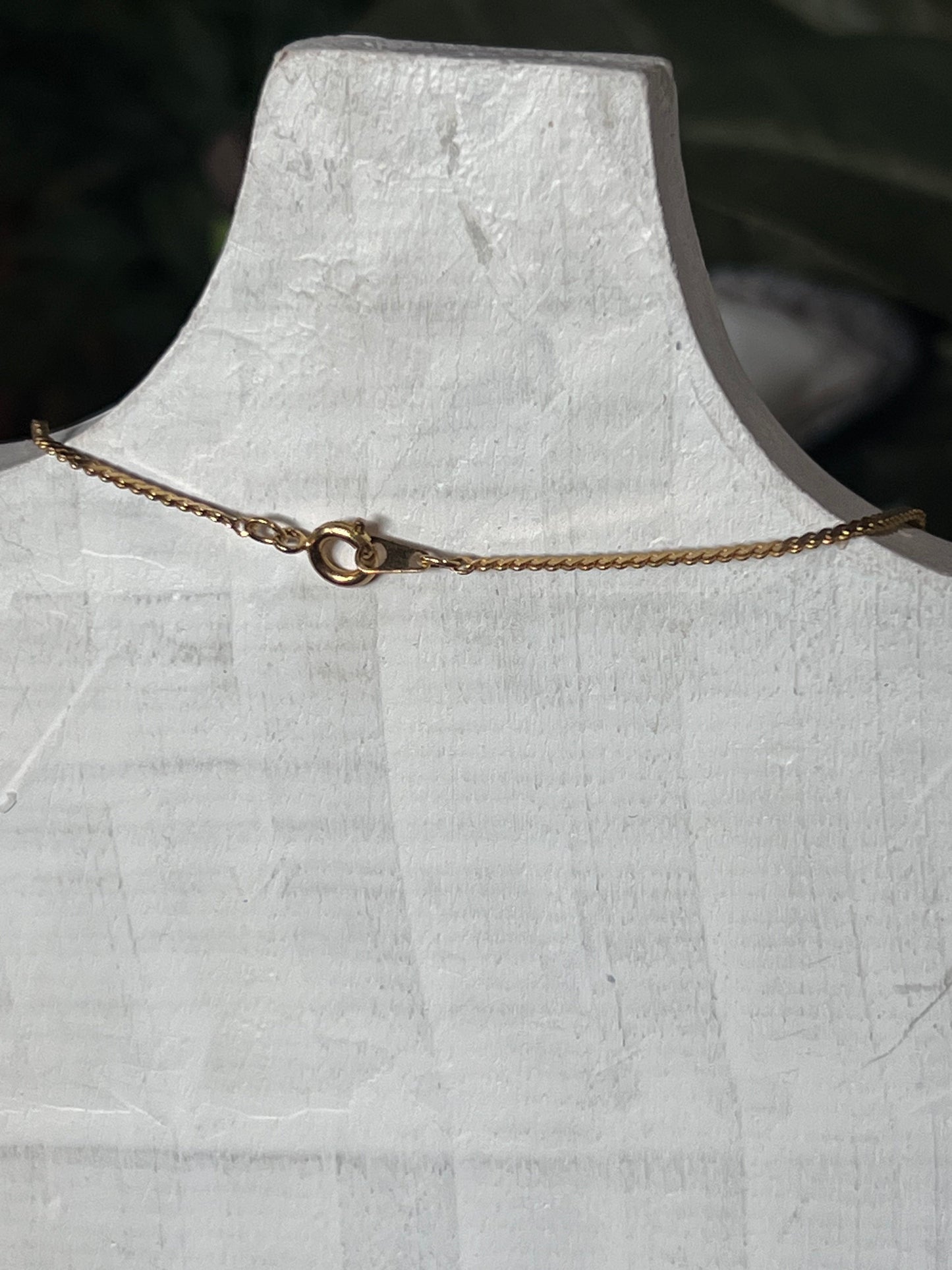 Sand Dollar Pendant Necklace