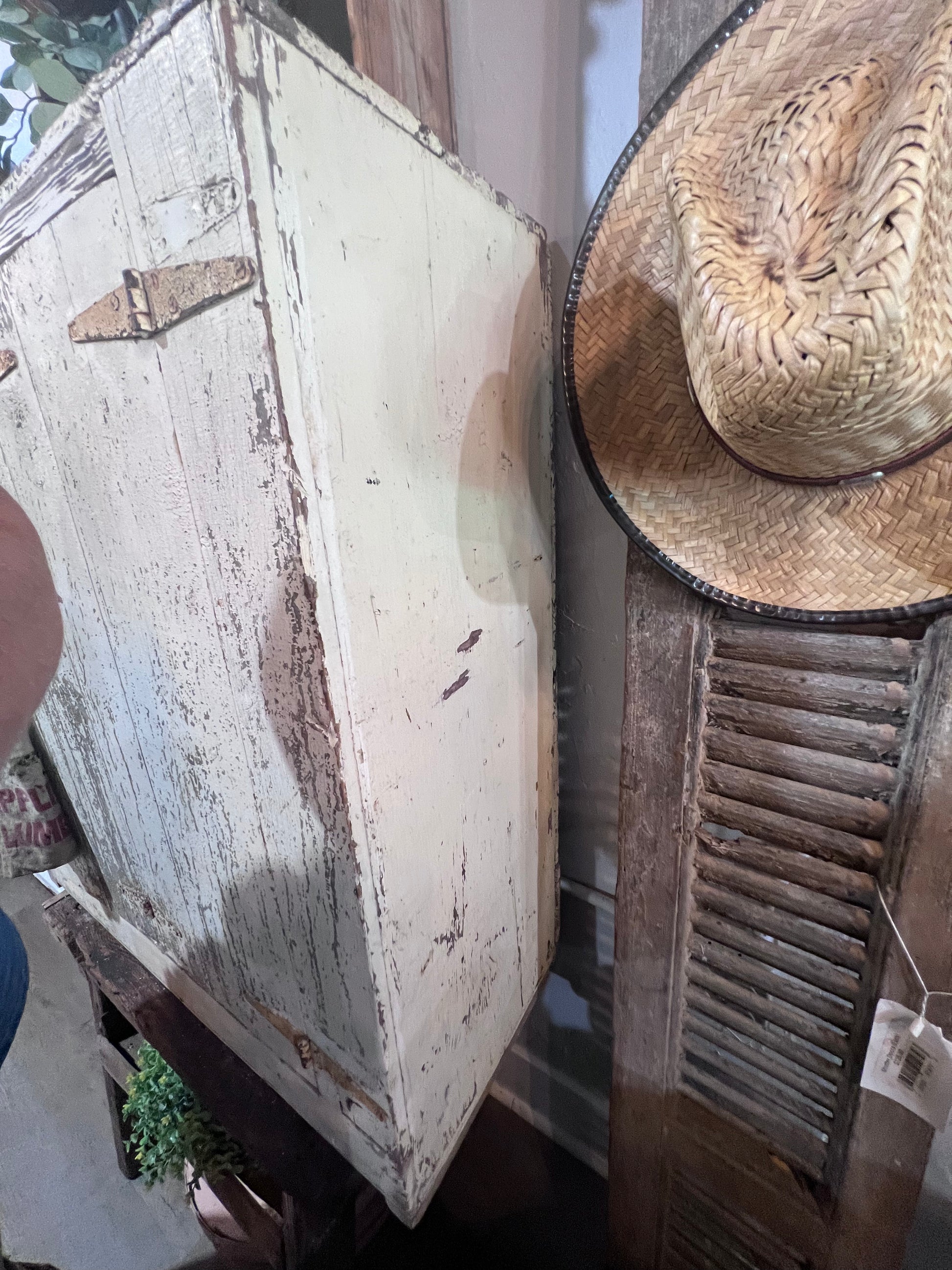 Chippy 1 Door Cupboard Jelly Cabinet