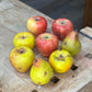 Stone Artificial Fruit Collection