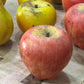 Stone Artificial Fruit Collection