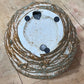 Bird Family Dish