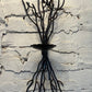Candle Holder Wall Sconce