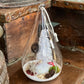 LiveTrends Airplant Terrarium: Winter Morning