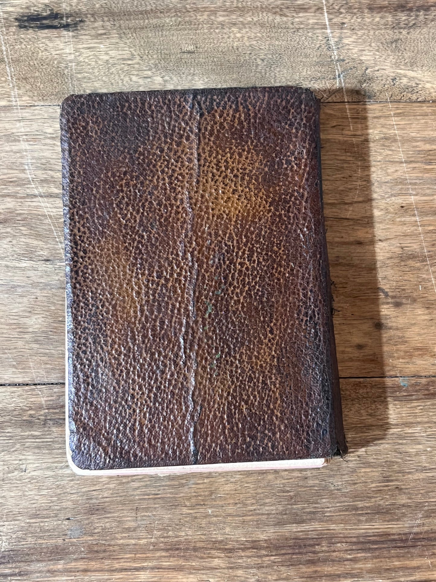 1927 - The New Popular Pocket Webster Dictionary Book