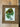 Set of 3 Framed Botanical Embroideries The Mustard Seed Collection