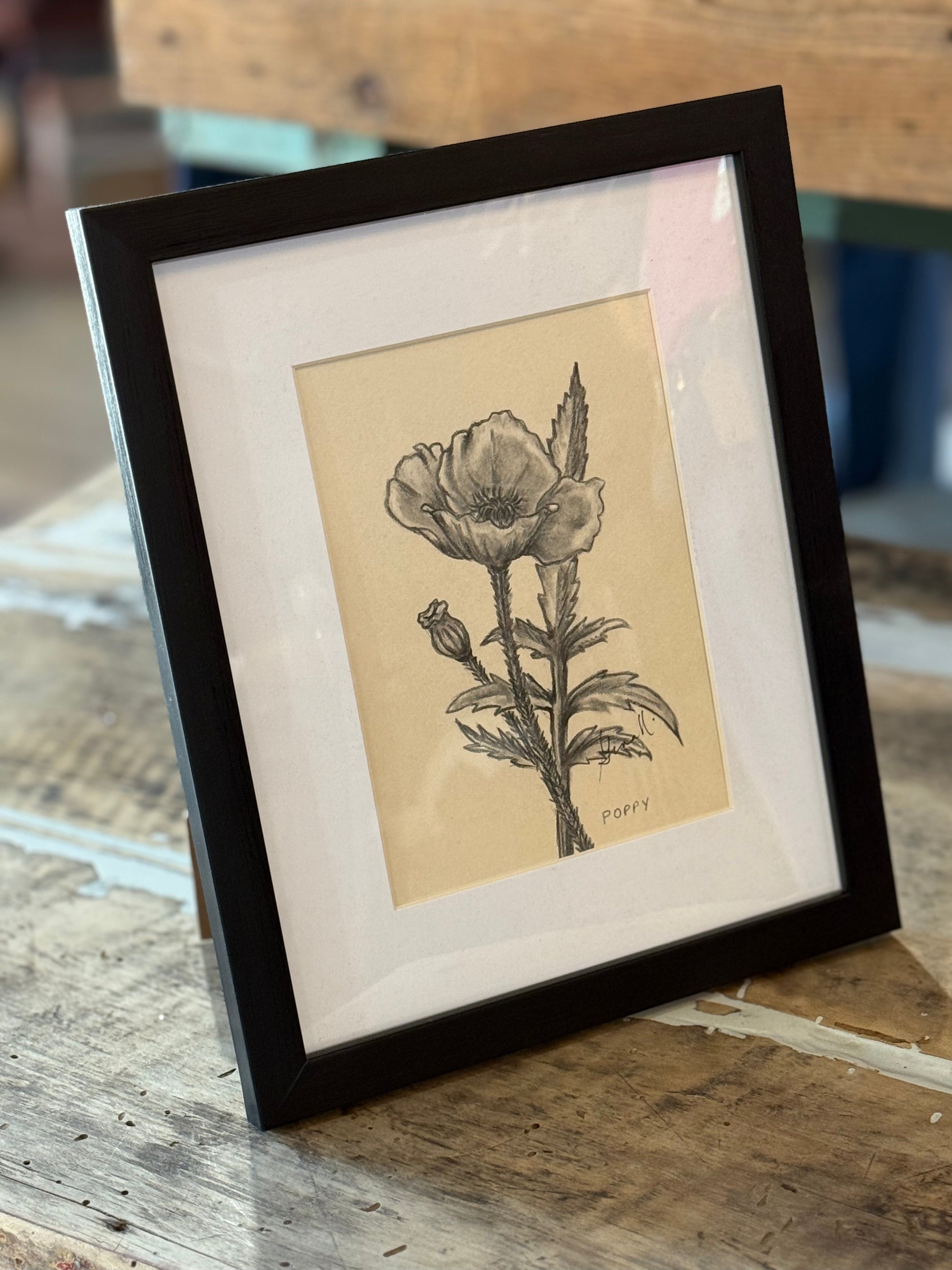 Graphite & Charcoal Drawings by Gina M. Singh Newbanks Poppy