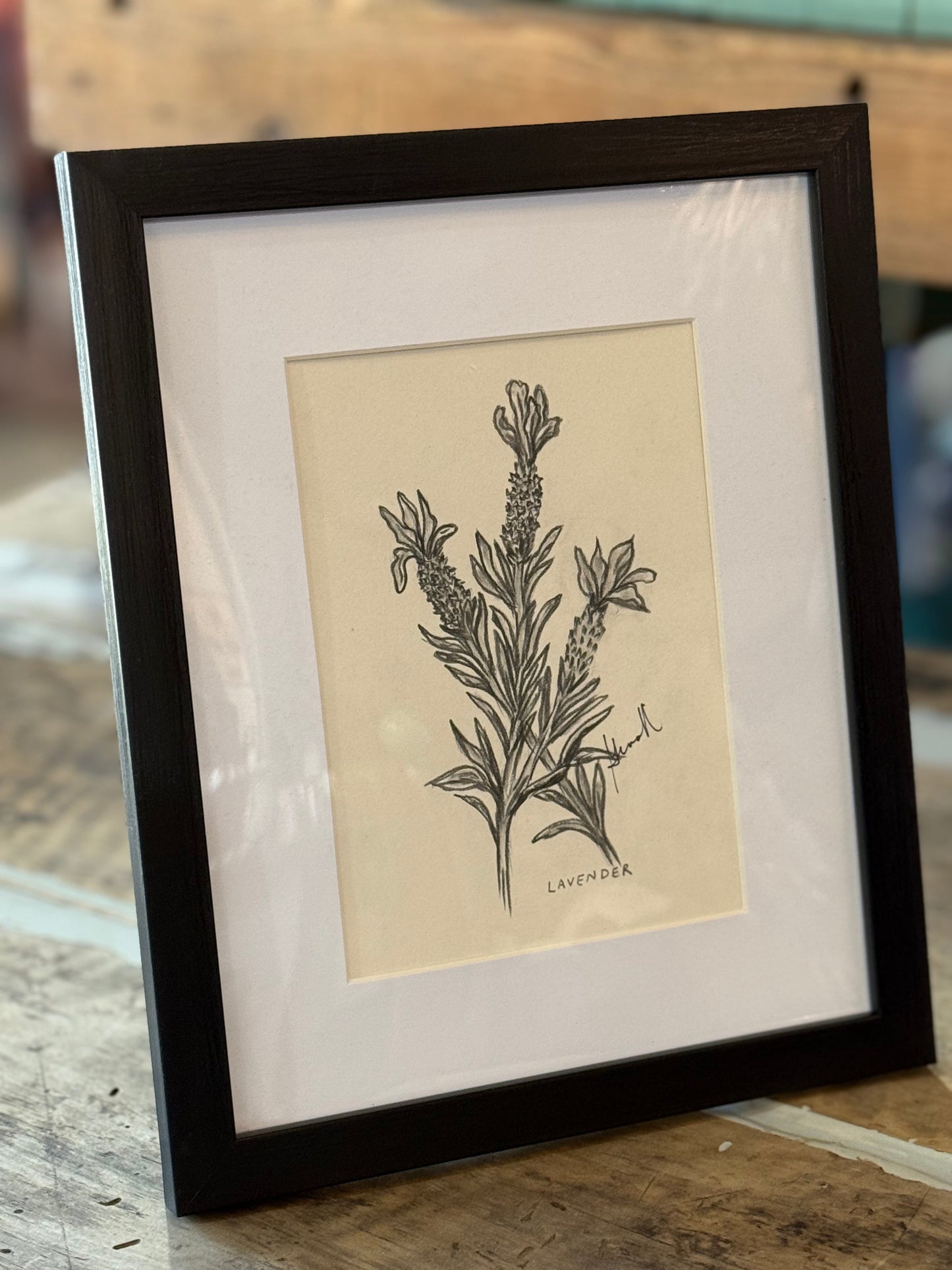 Graphite & Charcoal Drawings by Gina M. Singh Newbanks Lavender