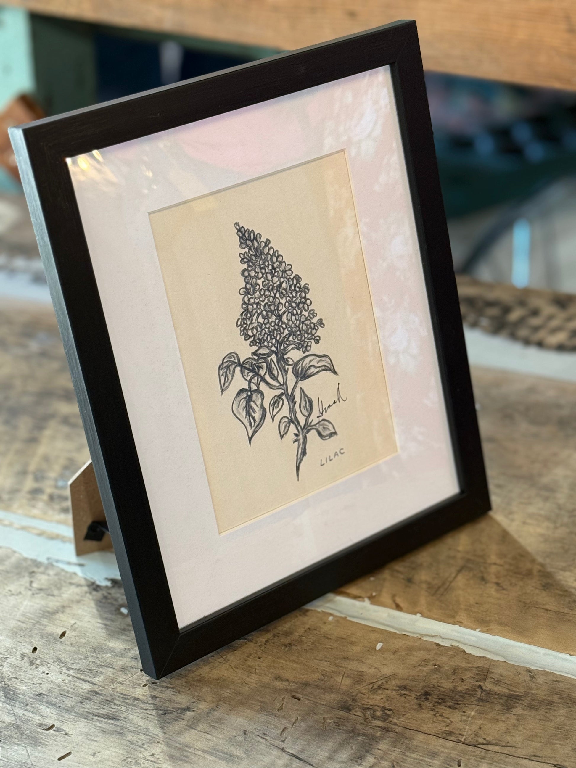 Graphite & Charcoal Drawings by Gina M. Singh Newbanks Lilac