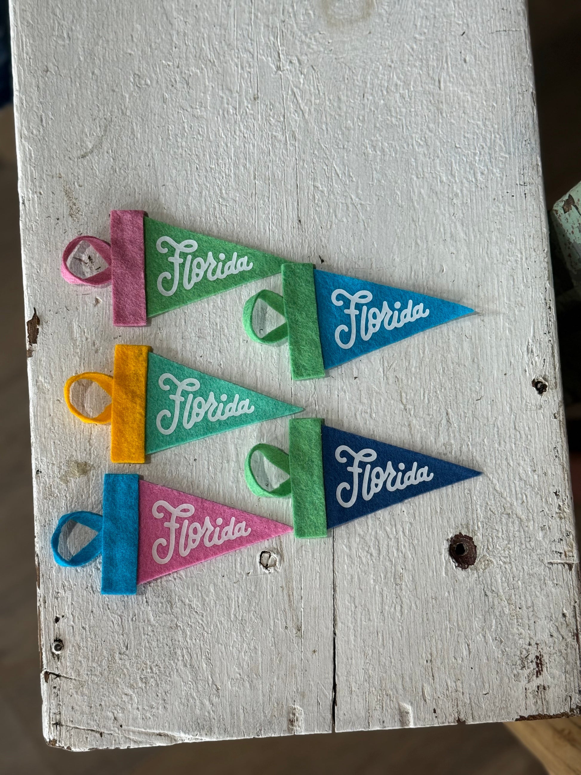 Florida Mini Pennant