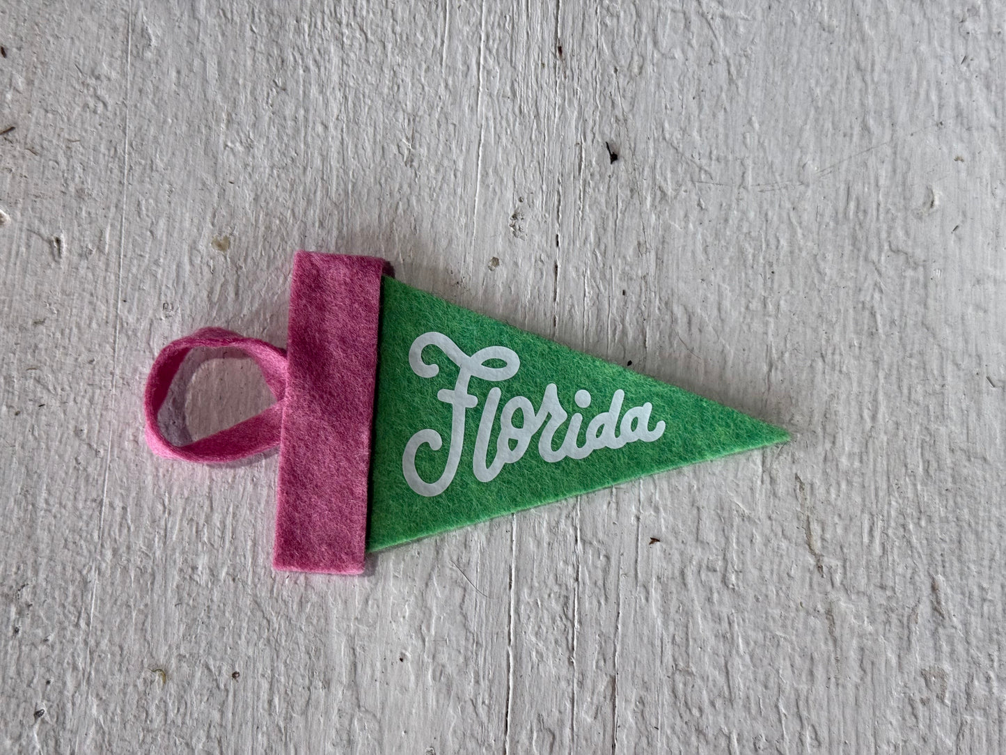 Florida Mini Pennant Pink Green