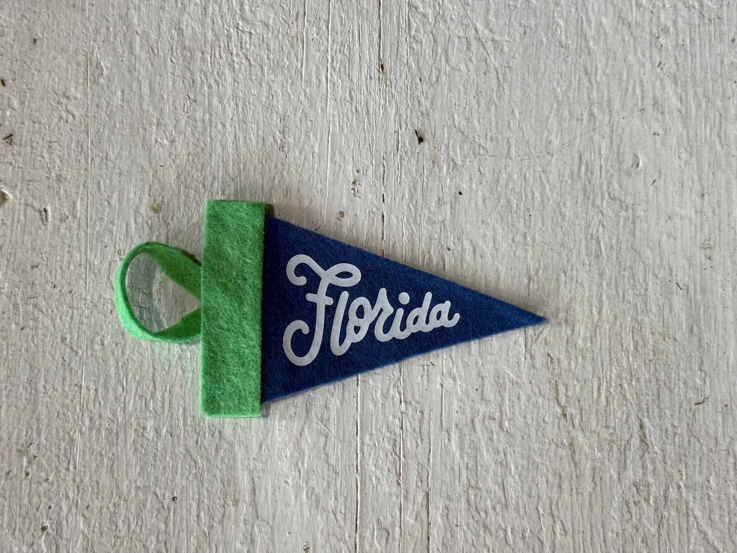 Florida Mini Pennant Green Blue