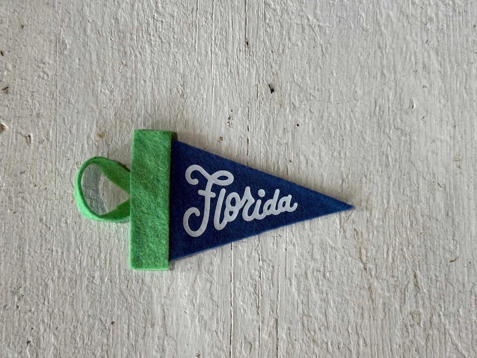 Florida Mini Pennant Green Blue
