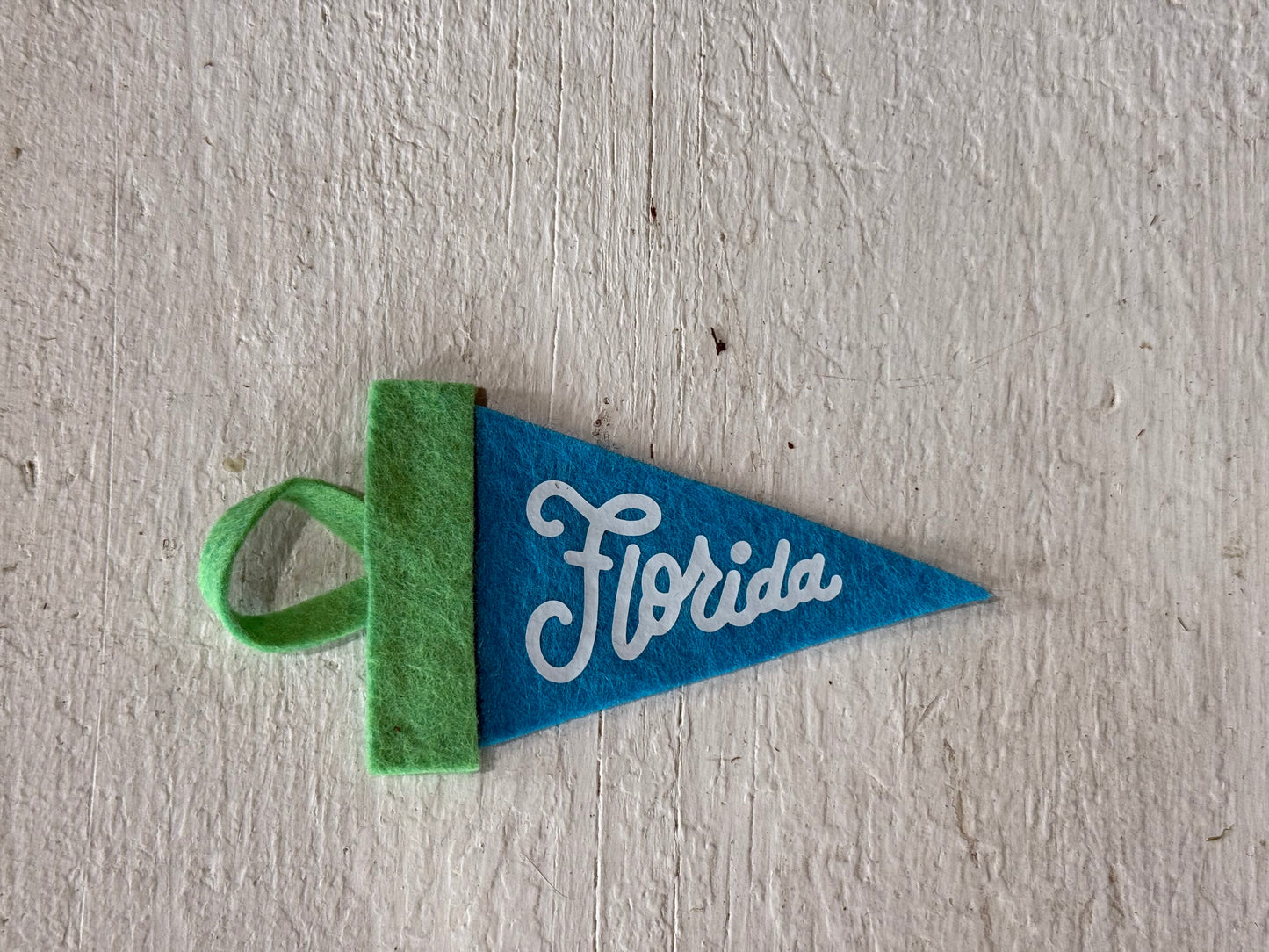 Florida Mini Pennant green teal