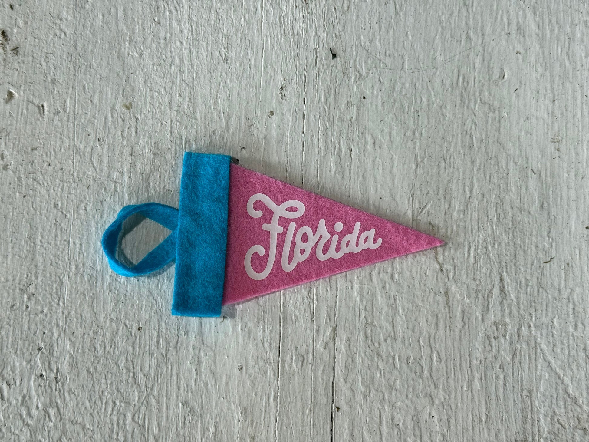 Florida Mini Pennant Teal Pink