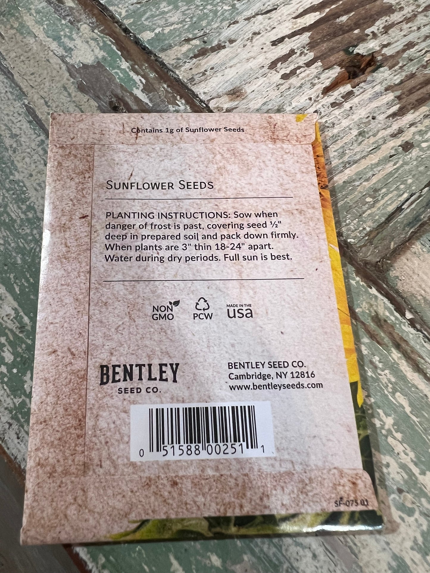 Bentley "Thank You" Sunflower