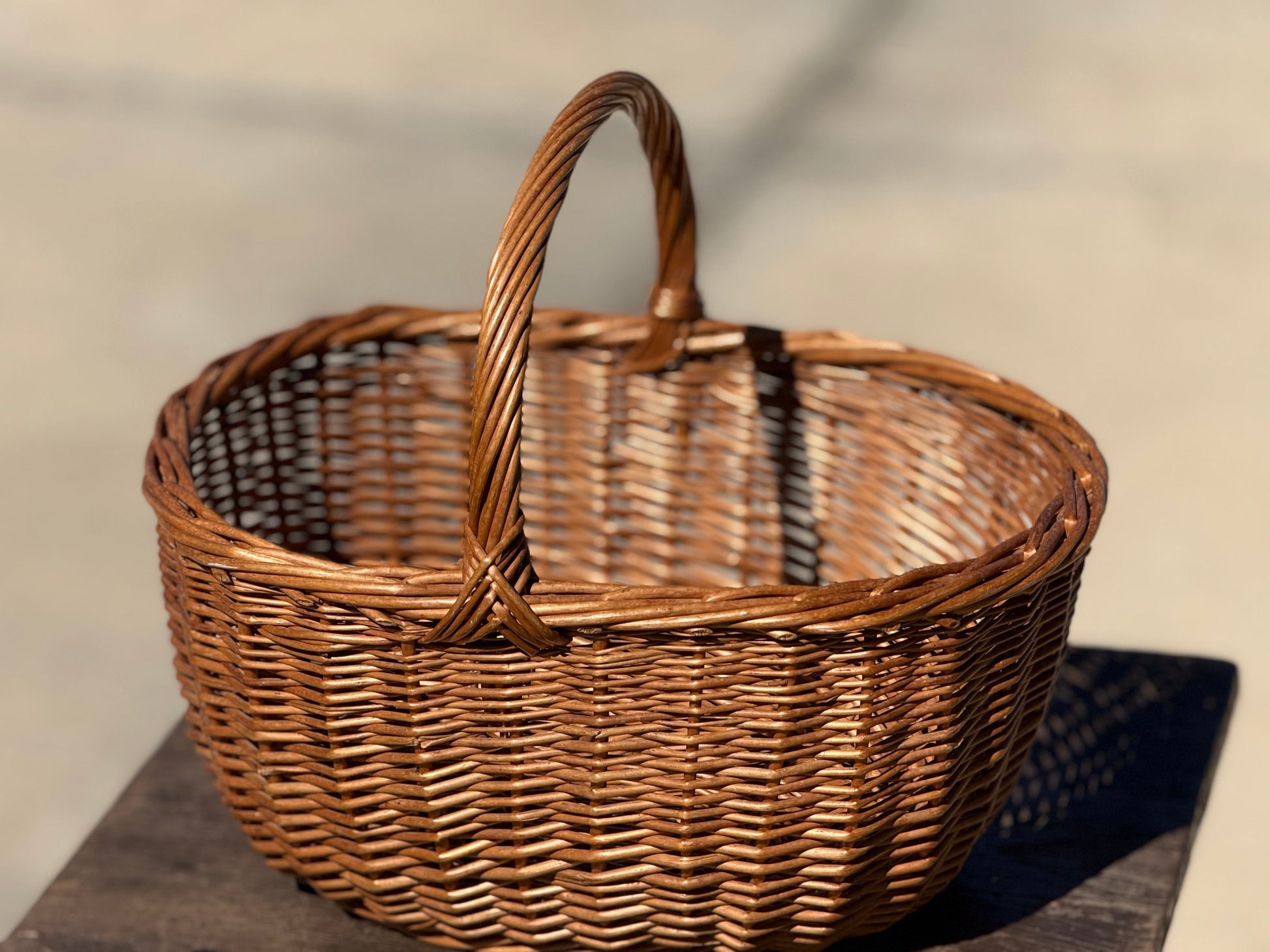 Oval Woven Basket with Twisted Handle