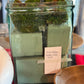Antique Glass Battery Jar: Small