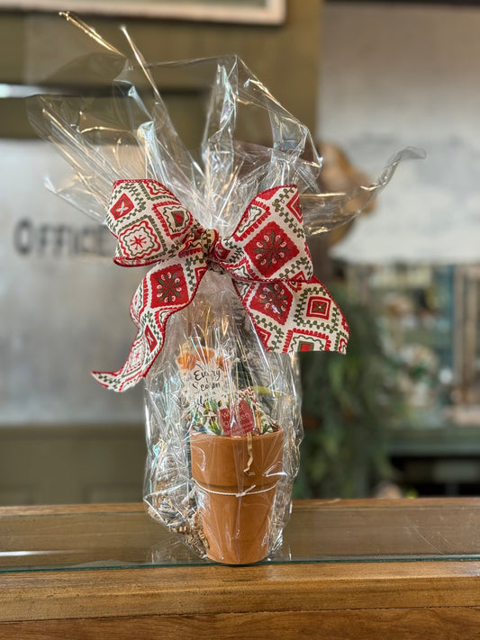 Winter Garden Bundle