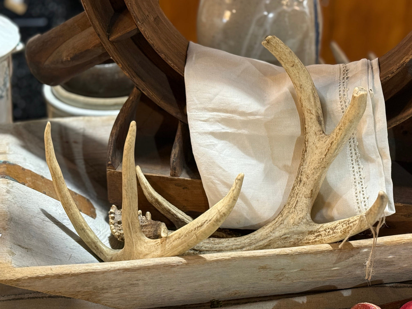 Pair 0f Elk Antler Sheds