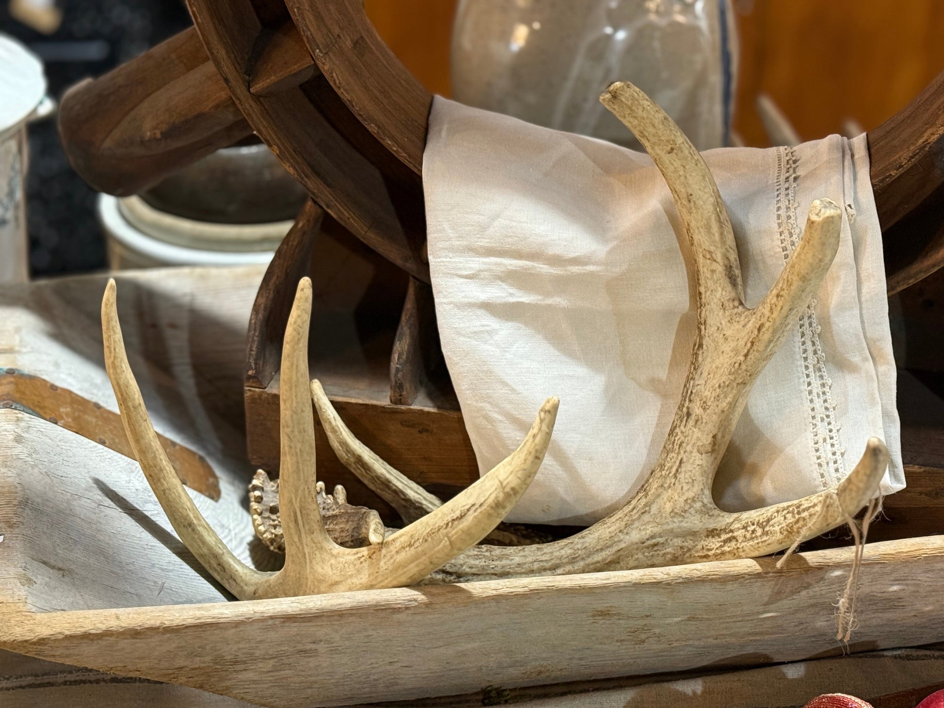 Pair 0f Elk Antler Sheds