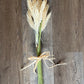 A bundle of dried ornamental grass with golden-tan seed heads and green stems, tied with a natural twine bow, placed on a brown wood plank floor.