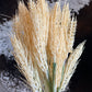 A bundle of dried decorative grasses or pampas-style stalks in warm cream and tan tones, photographed close-up against a dark, mottled background.