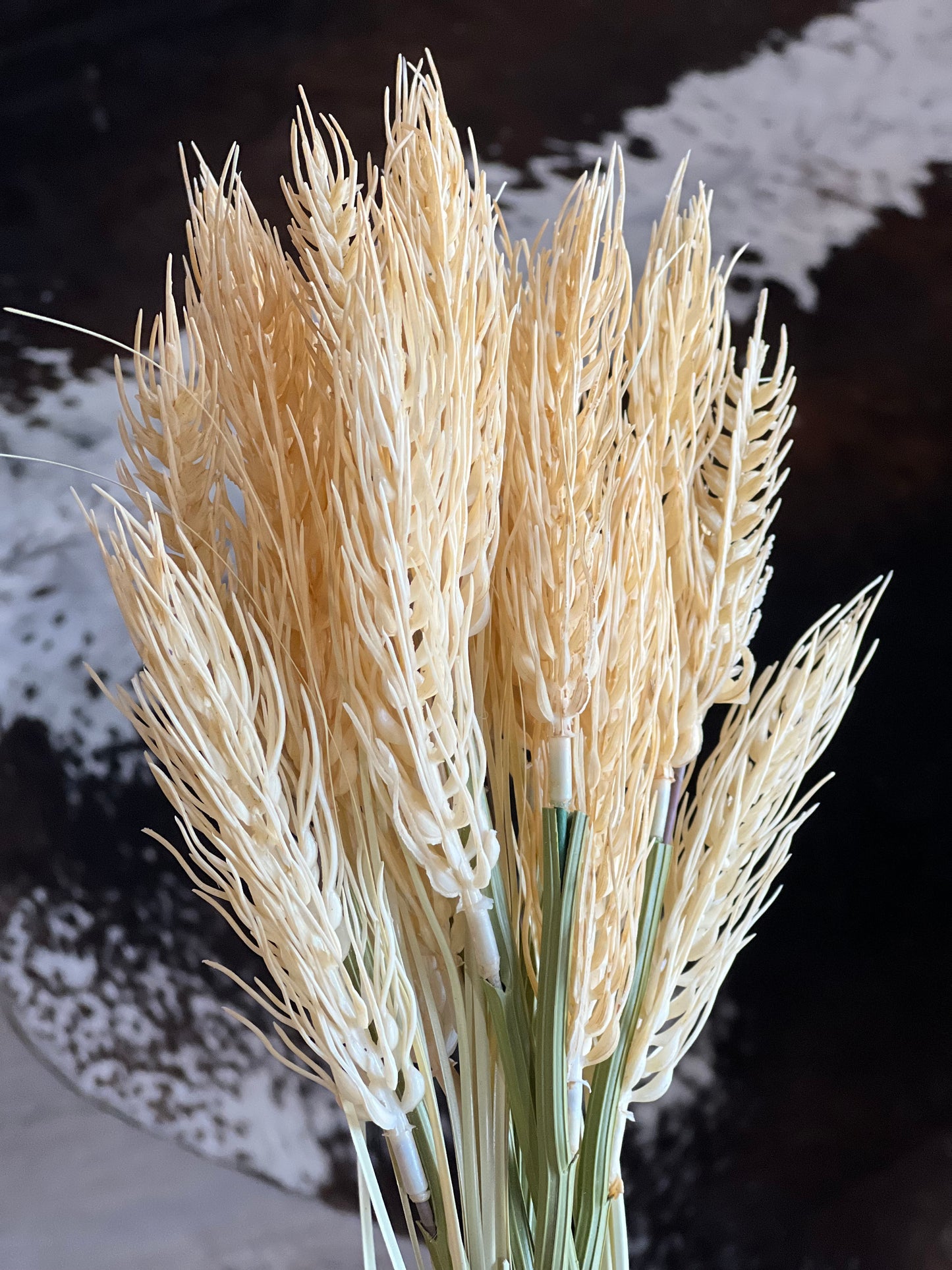 A bundle of dried decorative grasses or pampas-style stalks in warm cream and tan tones, photographed close-up against a dark, mottled background.