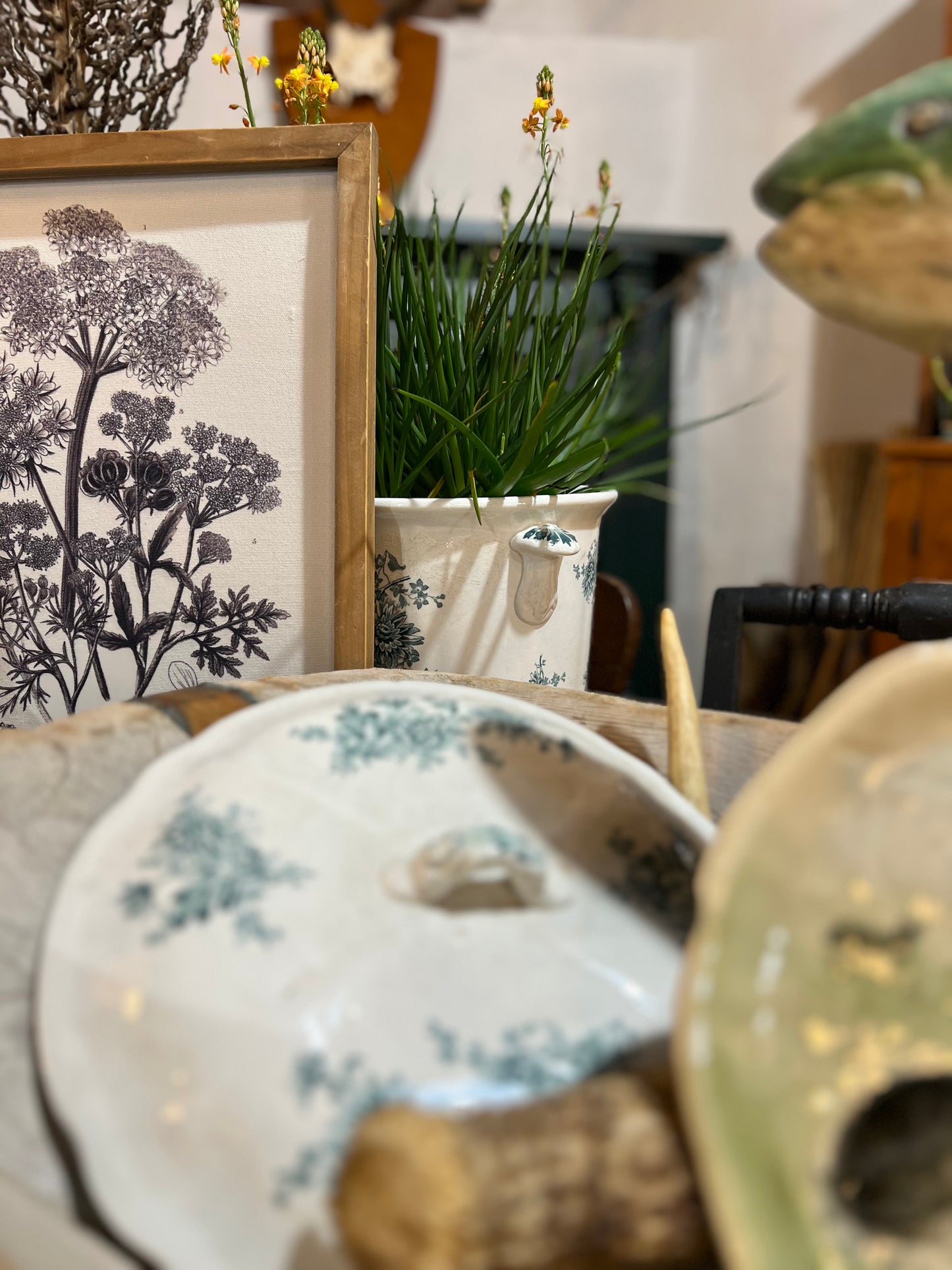 Buffalo Chrysanthemum Ironstone Pot W Lid