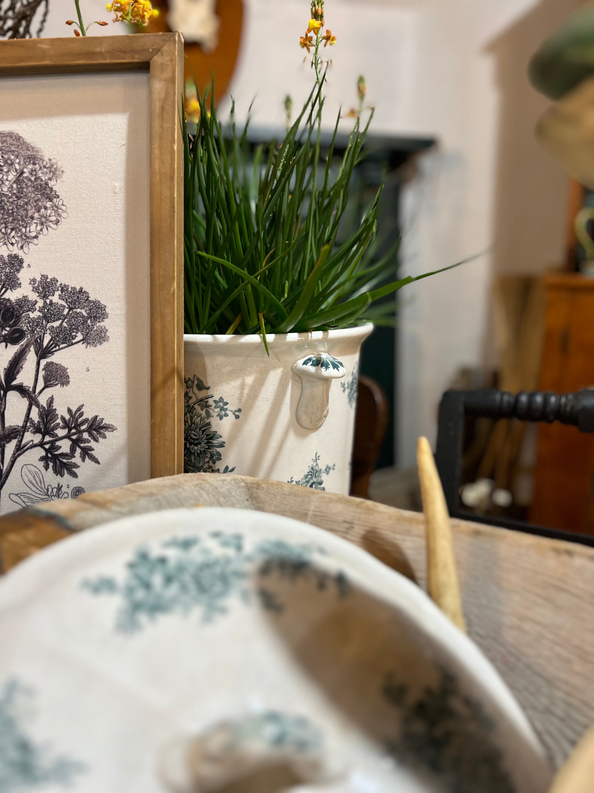 Buffalo Chrysanthemum Ironstone Pot W Lid