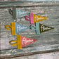 Alachua Mini Pennant